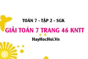 Giải Toán 7 trang 46 tập 2 Kết nối tri thức